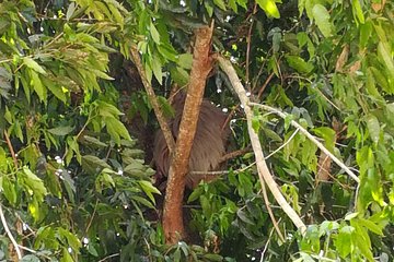 Transport from Alajuela Airport to La Fortuna