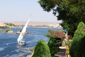 Aswan : River Nile Felucca Trip to Botanical island & Entrance fees