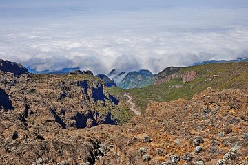 Kilimanjaro climb, Umbwe Route (6-day)
