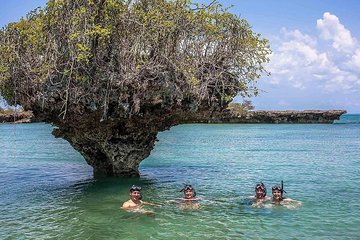 Full-day Safari Blue Trip in Zanzibar with Lunch buffet