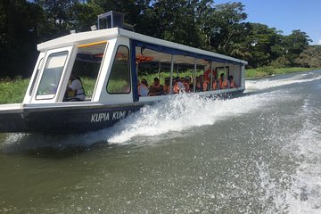  Tamarindo wildlife Estuary boat ride tour 2 hours