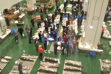 Tuna auction at Toyosu Market with qualified guide and early morning tour of Tsukiji Outer Market