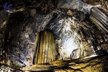 Private day tour - Explore Paradise Cave - Phong Nha Cave from Dong Hoi