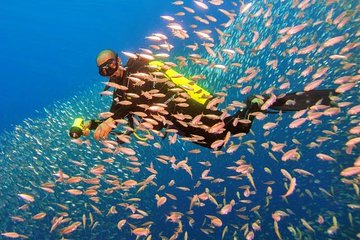 Scuba Diving From Aqaba City Or Talabay ( Beach )