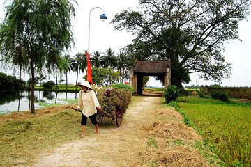 1 day motorbike Ba Vi National Park, Duong Lam ancient village