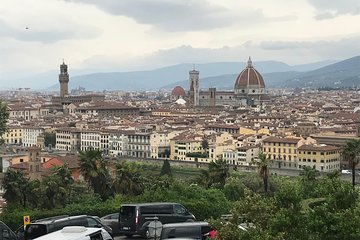 Livorno port-Florence round trip