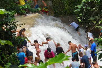 Dunn's River Falls Tour from Ocho Rios