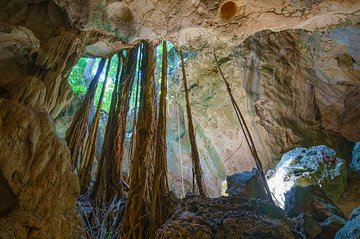 Private Exploring Tour in Green Grotto Caves and Rafting on the Martha Brae