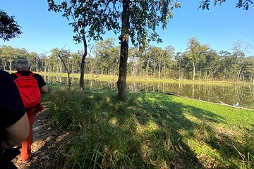 2 Hours Nature Walk in Chitwan National Park