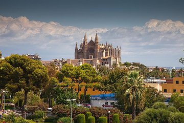 Palma de Mallorca Private Walking Tour with tour guide