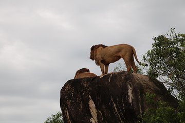 3 Nights Queen Elizabeth National Park Retreat 
