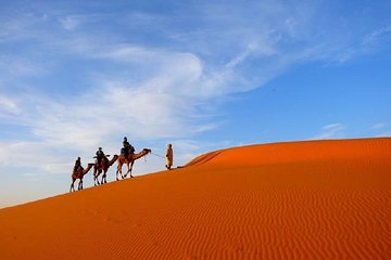 2 Days Tour From Marrakech To Zagora