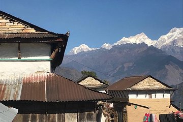 gurung village(puma) tour( no permit needed )