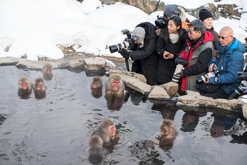 Full-Day Private Nagano Tour: Zenkoji Temple, Obuse, Jigokudani Monkey Park