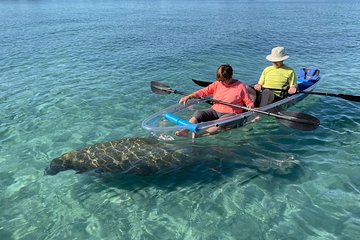 Clear Kayak Tour in Jupiter