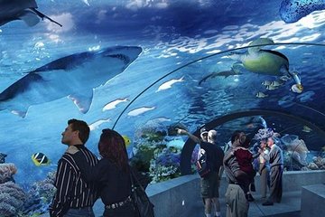 Antalya Aquarium Tour Platinium Tour