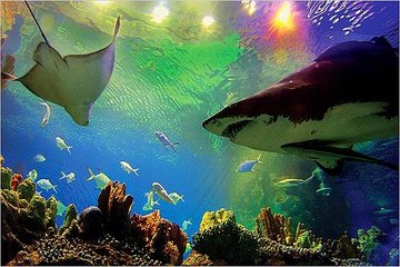 Aquaria KLCC Ticket