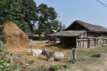5 Days Exclusive Exposure To Learn Ancient Rural Farming Near Pokhara Valley