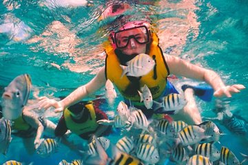 Wonderful snorkel tour at 3 different reefs in Cozumel for the best price!