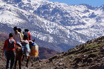 5-Day Mount Toubkal Ascent Trekking Tour from Marrakech