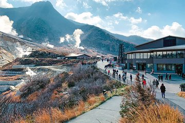 Hakone Private Two Day Tour from Tokyo with Overnight Stay in Ryokan