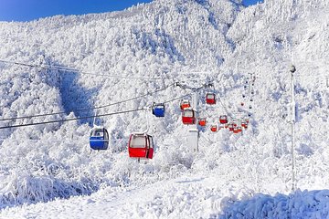Private Day Tour to Xiling Snow Mountain 