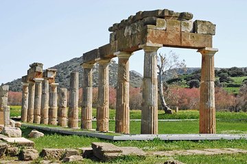 Private Tour & Swimming Vravrona from Athens