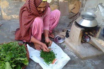 Indian Village Cultural Full Day Private Tour