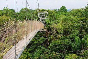 Half-Day Private Guided Tour of Lekki Conservation Centre