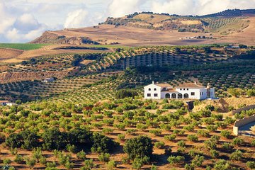 Half-Day San Sebastian Eco Farm Tour and Food Tasting