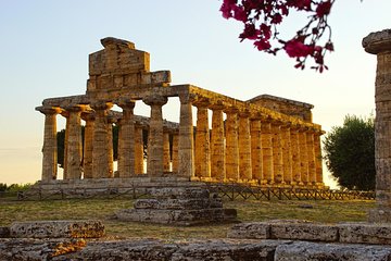 Private Paestum Historical Temples Day Trip from Naples