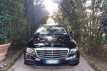 Sorrento private driver full day