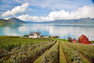 AMAZING HARDANGER: Private round trip with Fjord Cruise – from Bergen, 11 hours