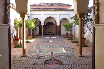 Guided visit to the Roman Theater and Alcazaba in Malaga