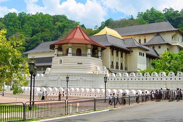 Nice 10 Days Tour in Sri Lanka 