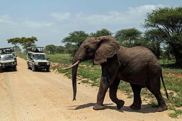 6-Day Tanzania Best Camping Safari from Arusha