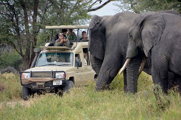 4-Day Tanzania Best Camping Safari: Lake Manyara, Serengeti & Ngorongoro Crater