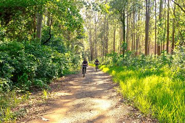 The Train Track Trail Mountain Bike Ride - Private experience