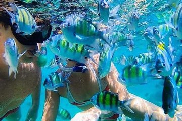 Bali Snorkeling at Blue Lagoon include private transport