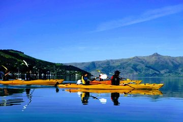 Electric Mountain Bike & Sea Kayak Tour in Akaroa