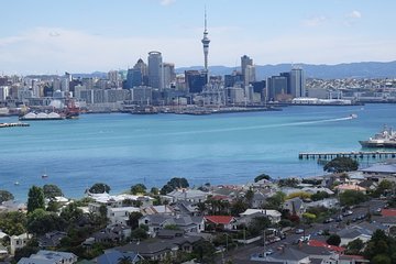 Shore Excursion: Auckland Scenic Full Day Tour - 8 Hours