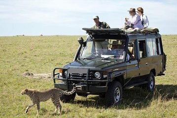 8-Day Best of Kenya Wildlife Safari on 4x4 Land Cruiser Jeep