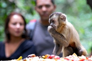 Durban: Visit a Museum of living Plants and a Sanctuary for Primates