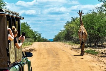 5-Day Kruger National Park & Panorama Route Tented Safari