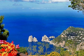 Capri Island and Blue Grotto from Sorrento or Positano or Amalfi or Salerno