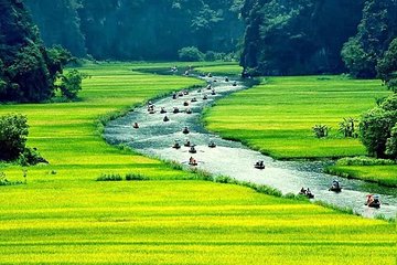 Hoa Lu Former Citadel and Tam Coc Private Day Tour from Hanoi