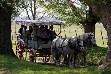 2 Days and 1 Night in Areco
