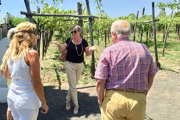 Pompeii with lunch and Wine tasting