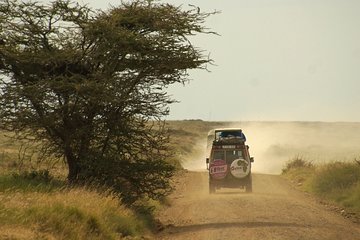 14 Day Rwanda, Tanzania & Kenya : Gorillas, Serengeti Safari 