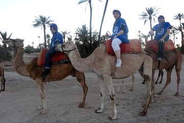 Camel ride in Marrakech 2 hours